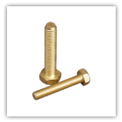 Brass Bolt - 1